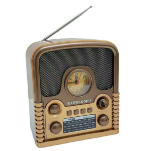 Haut Parleur ET Radio FM NS-7211BT 5W Bois