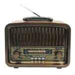 Haut Parleur et Radio FM Kalade KK-222BT