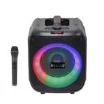 Haut-parleur SING-E Party Box Veler 111