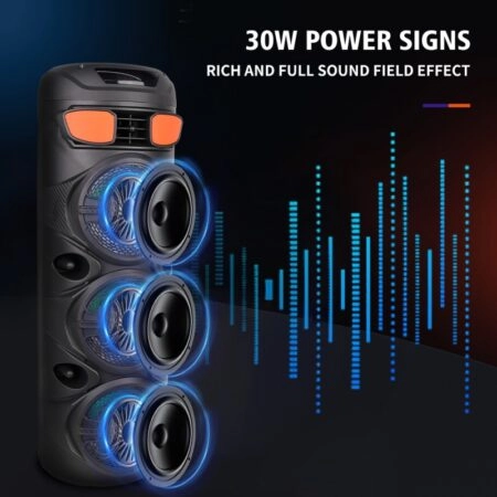 ZQS6301 haut-parleur avec microphone rentable professionnel 6.5 pouces RVB lumière Portable stéréo fête KTV DJ karaoké – Image 4